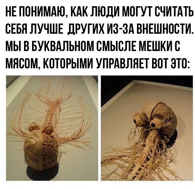НЕ ПОНИМАЮ КАК ЛЮДИ МОГУТ СЧИТАТЬ СЕБЯ ЛУЧШЕ ДРУГИХ ИЗ ЗА ВНЕШНОСТИ МЫ В БУКВАЛЬНОМ СМЫСЛЕ МЕШКИ С МЯСОМ КОТОРЫМИ УПРАВЛНЕТ ВОТ ЭТО