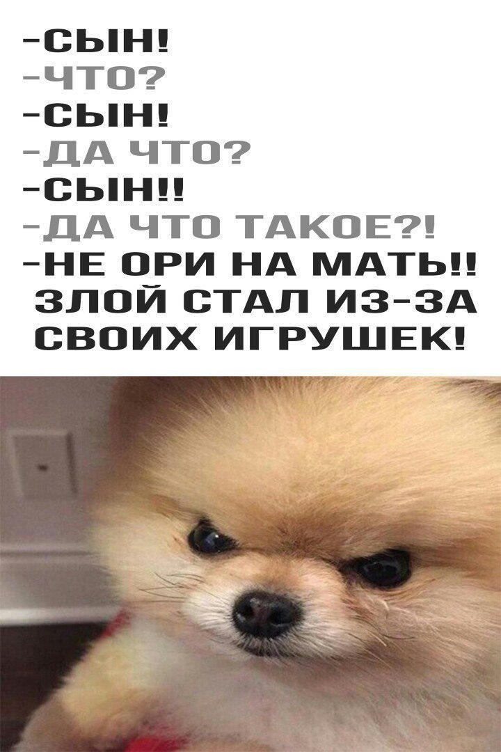 ОЬН ЧТО ОЬН ДА ЧТО ОЬН ДА ЧТО ТАКОЕ НЕ ОРИ НА МАТЬ ЗЛОЙ СТАЛ ИЗЗА СВОИХ ИГРУШЕК а
