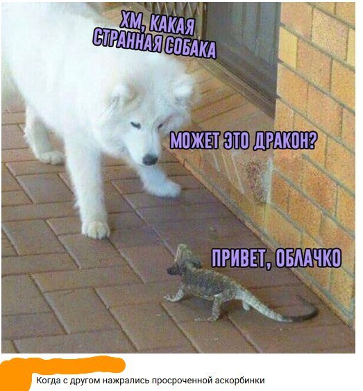 МПЖЕТ ЭТП ЛРАКПН пгивп пвмчко кагда другим нажрались просроченной вскирпинки