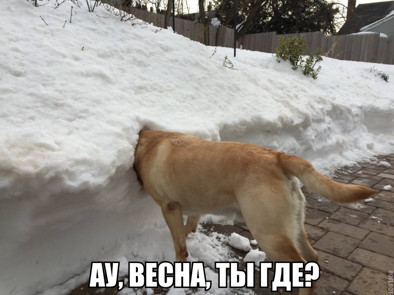 _ з _ 5 9 в Е г а тн ГЗ