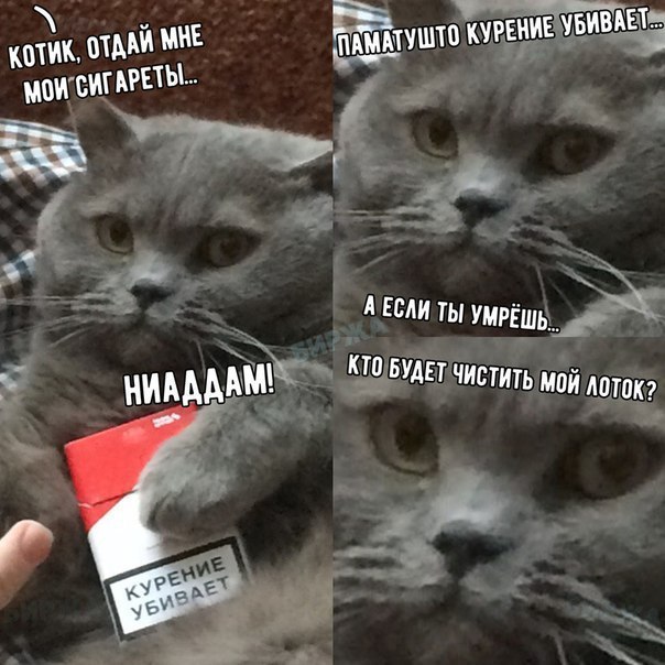 пгт Г А если ты тёща ИААУАЕтщистить мой
