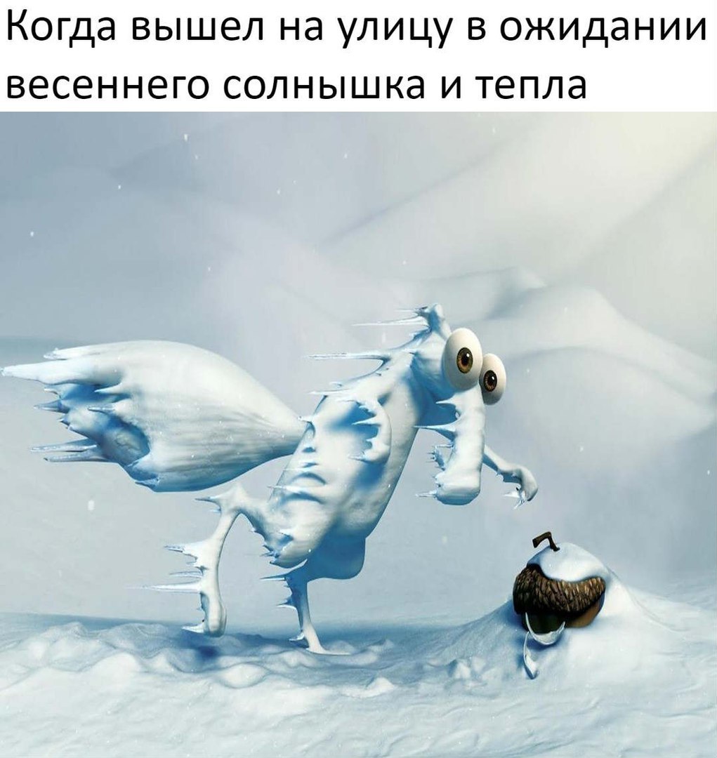 Когда вышел на УЛИЦУ В ожидании ВЭСЕННЭГО СОЛНЫШКЭ И тепла