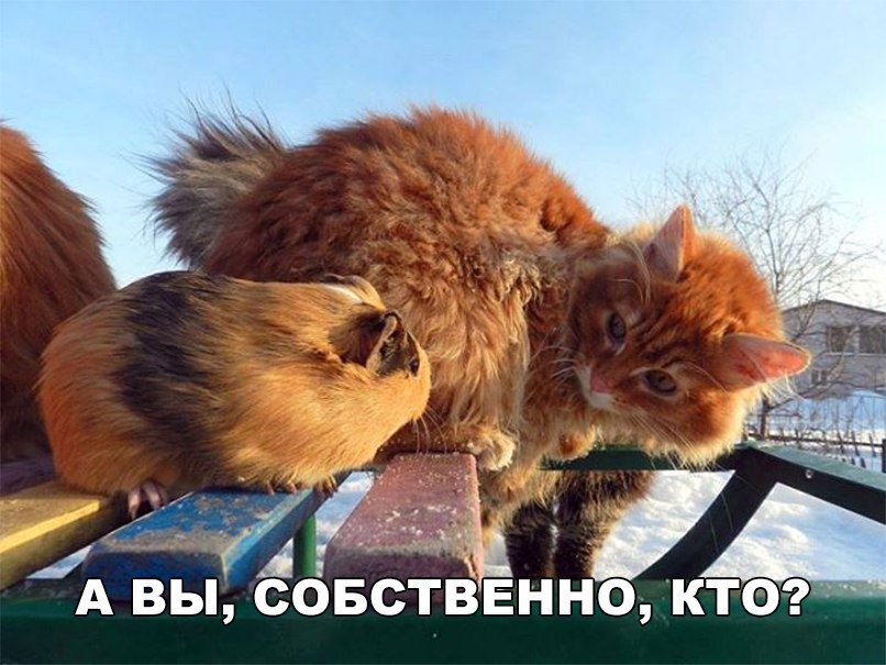 _ А А вы совствЁнно ктог