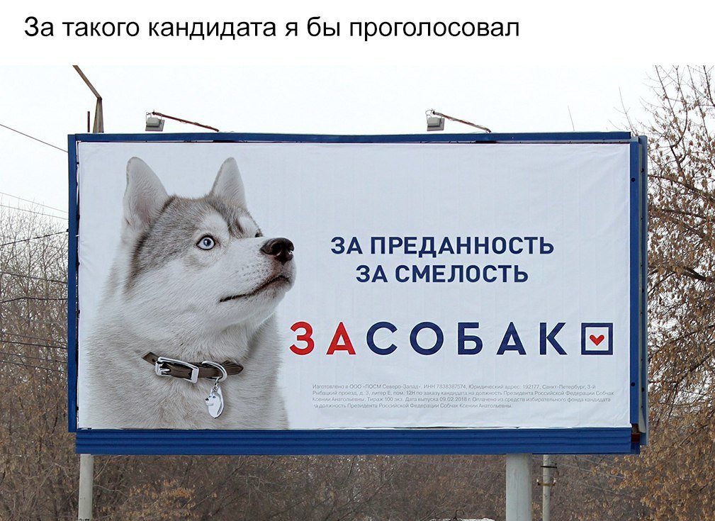 За такого КЭНДИДЭТЭ Я бЫ ПРОГОЛОСОВЭЛ ЗА ПРЕДАННОСТЬ ЗА СМЕЛОСТЬ ЗАСОБАК