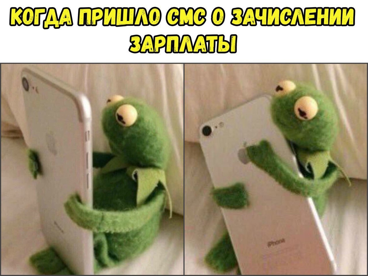 КОГДА ПРИШАО СМС 0 ЗАЧИСАЕНИИЗ ЗАРПААТЫ