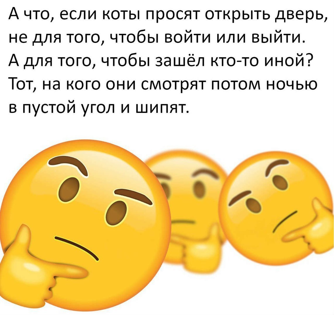 А что если коты просят открыть дверь не для того чтобы войти или выйти А для того чтобы зашёл ктото иной Тот на кого они смотрят потом ночью в пустой угол и шипят
