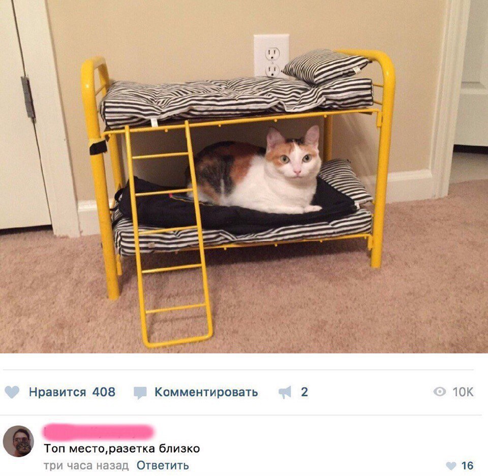Нравится 408 Комментировать Топ месторазетка близко Ответить ЮК 16