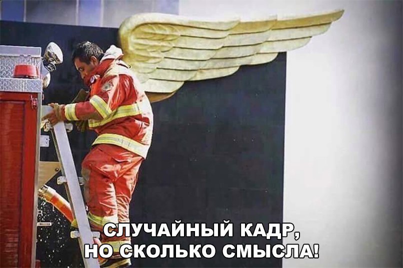случдйный КАдР О еколько СМЫСЛА