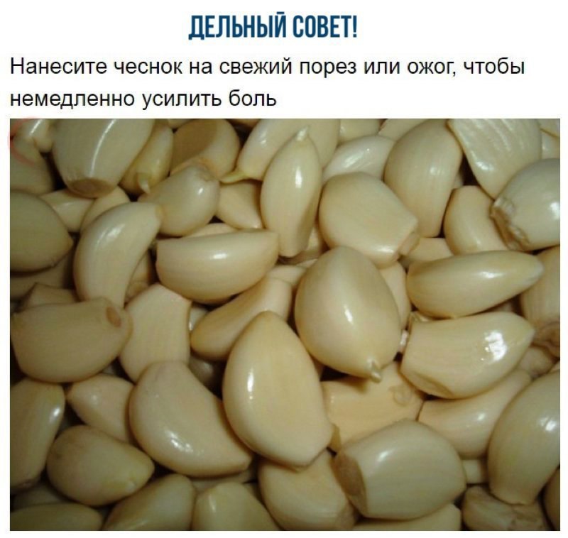 ДЕЛЬНЫЙ СОВЕТ Нанесите чеснок на свежий порез или ожог чтобы немедленно усилить боль