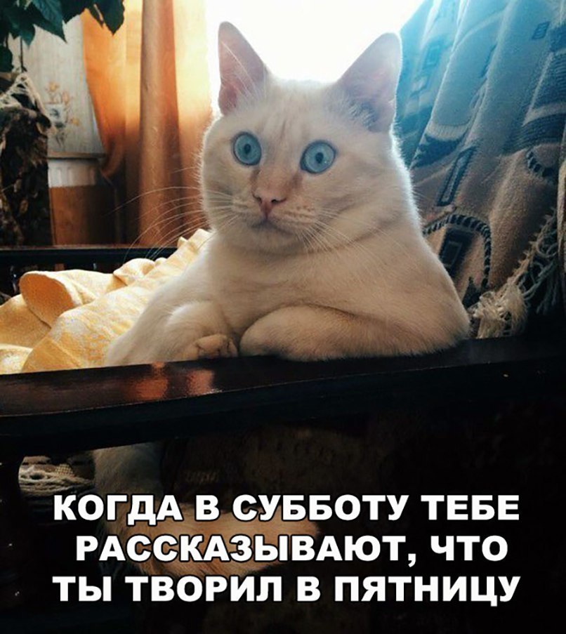 КОГДА В СУББОТУ ТЕБЕ РАССКАЗЫВАЮТ ЧТО ТЫ ТВОРИЛ В ПЯТНИЦУ