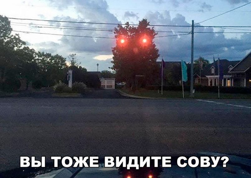 ВЫ ТОЖЕ _в_ИдИТЕ СОВУ