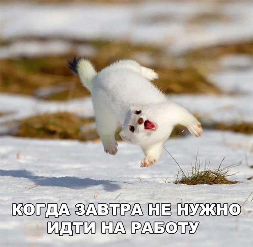 т в _ 13 БЁЁВЁЁМ ММБ