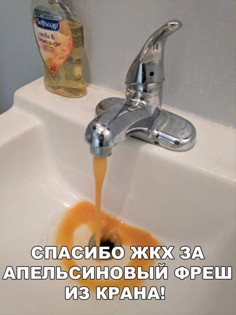 ПАСИ воржк ЗА ьсиновый