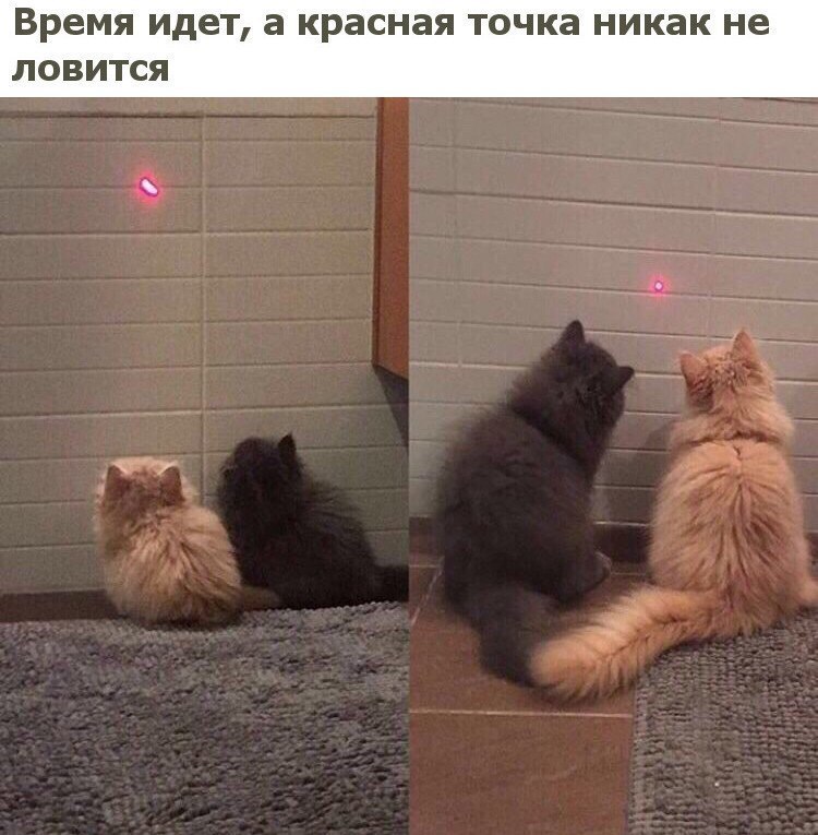 время идет а красная ТОЧКЗ никак не ЛОВИТСЯ ___ п п