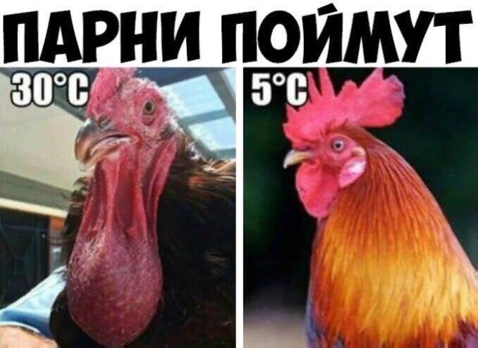 ПАРНИ ПОЙМУТ