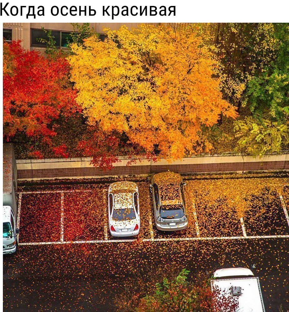 Когда осень красивая