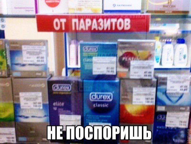 шёл 5 Линда