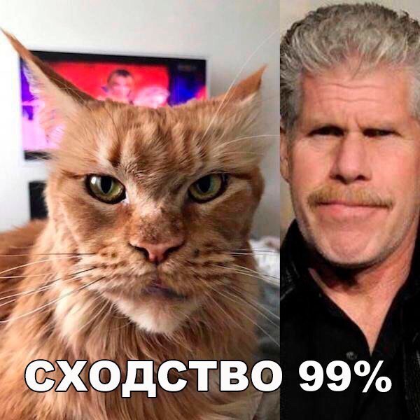 хЪдство 99 1