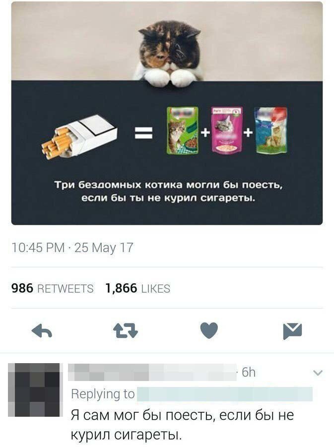 Три бездомных котика могли бы пвесть если бы ты не курил сигареты Ю45РМ2БМауП 986 НЕ ПЫЗ 1866 ЫКЬ в О бт Нршунщ Ю Я сам мог бы поесть если бы не курил сигареты