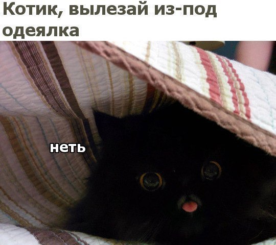 К тик вылезай из одеялка