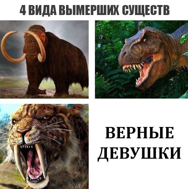 4 ВИДА ВЫМЕРШИХ ВУЩЕВТВ ВЕРНЫЕ ДЕВУШКИ