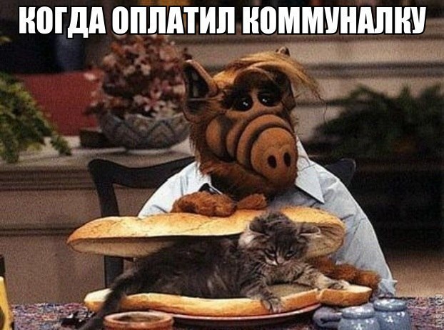 НПГДА ОПЛАТИЛ НВММУНАЛШ _ _ _ ят г