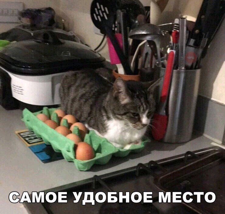 О Т С Е М Е О Н Б М У Е О