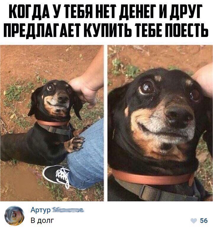КПТДА У ТЕБЯ НЕТ дЕНЕТ И дРУТ ПРЕДЛАГАЕТ КУПИТЬ ТЕБЕ ППЕЕТЬ