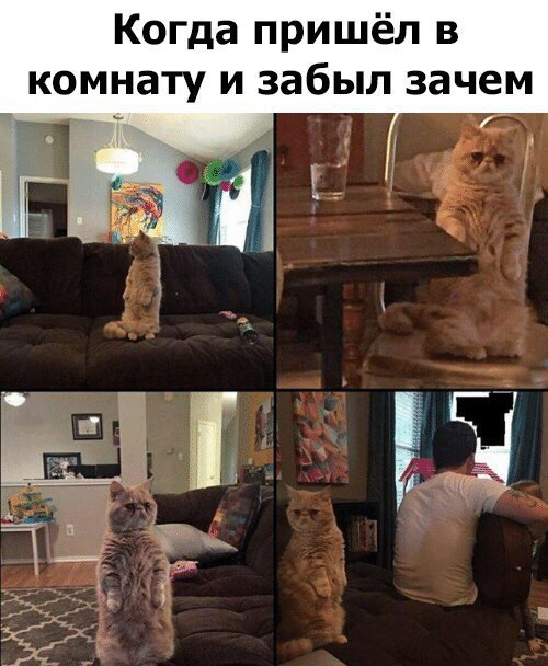 Когда пришёл в комнату и забыл зачем