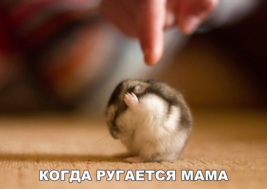 Ё