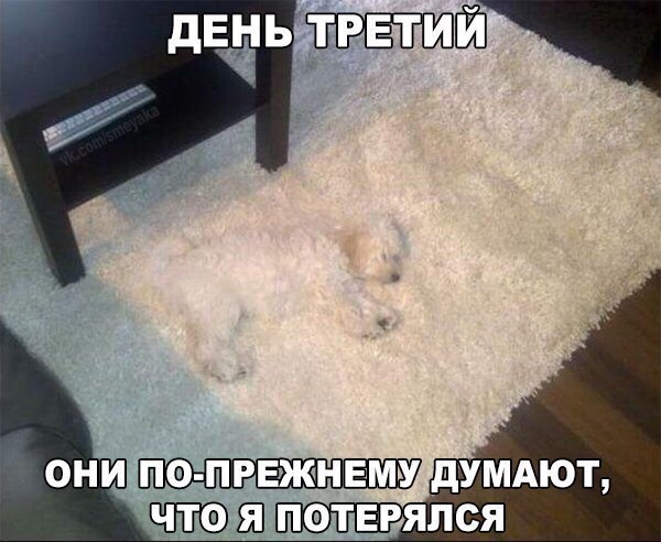двнь ТРЕТИЙ ОНИ ПФ ПРЕЖНЕМУ _дУМАЮТ