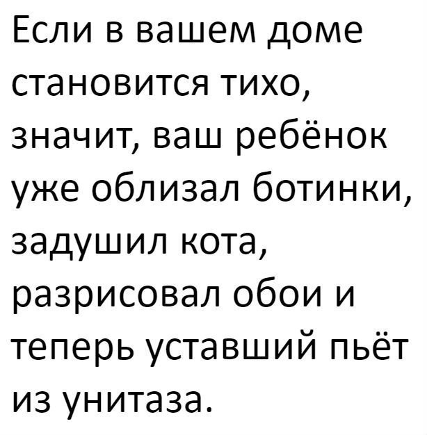 Если в вашем доме становится тихо значит ваш ребёнок уже облизал ботинки задушил кота разрисовал обои и теперь уставший пьёт из унитаза