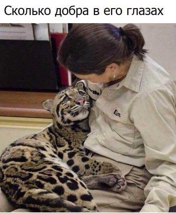 Сколько добра в его глазах