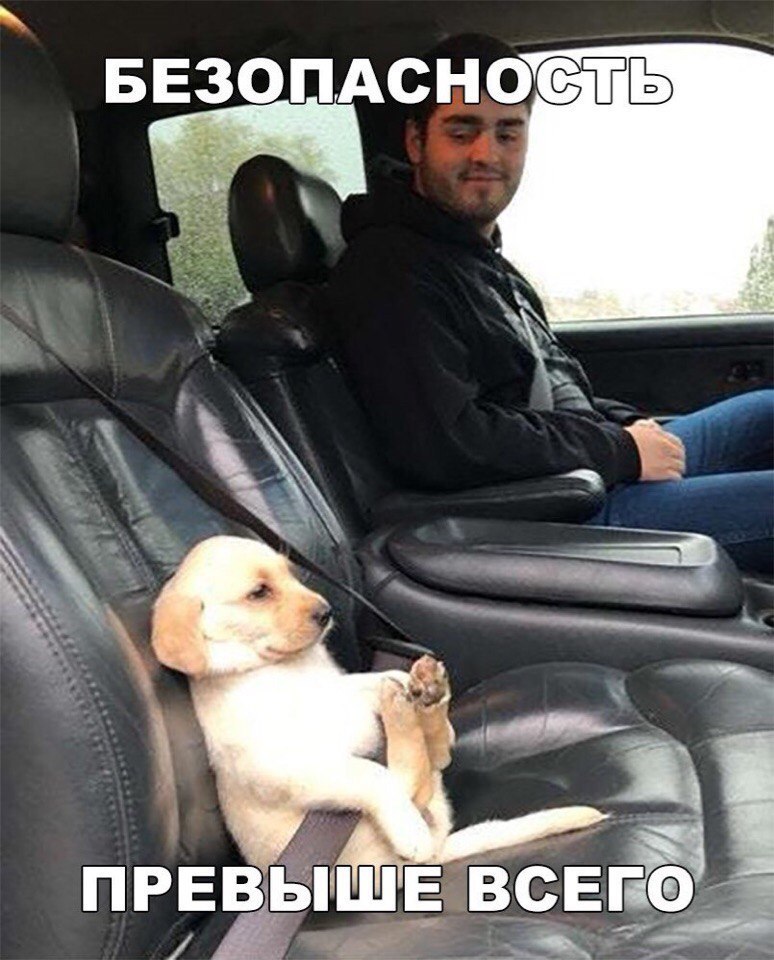 БЕЗОПАСНОСТЬ