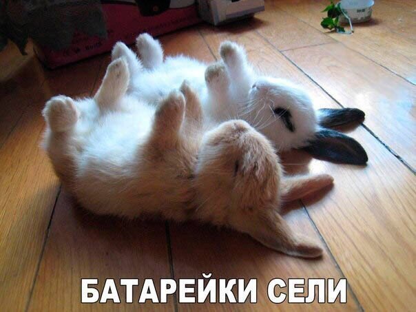 БАТАРЕЙКИ св иг