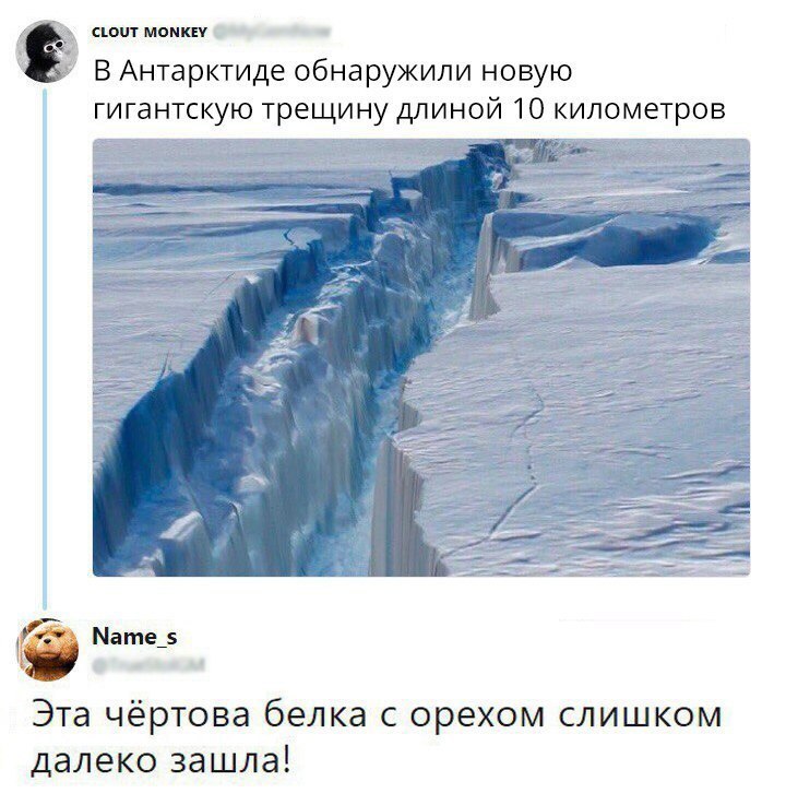 сюит мантр _ В Антарктиде обнаружили новую гигантскую трещину длиной 10 километров Эта чёртова белка с орехом слишком далеко зашла