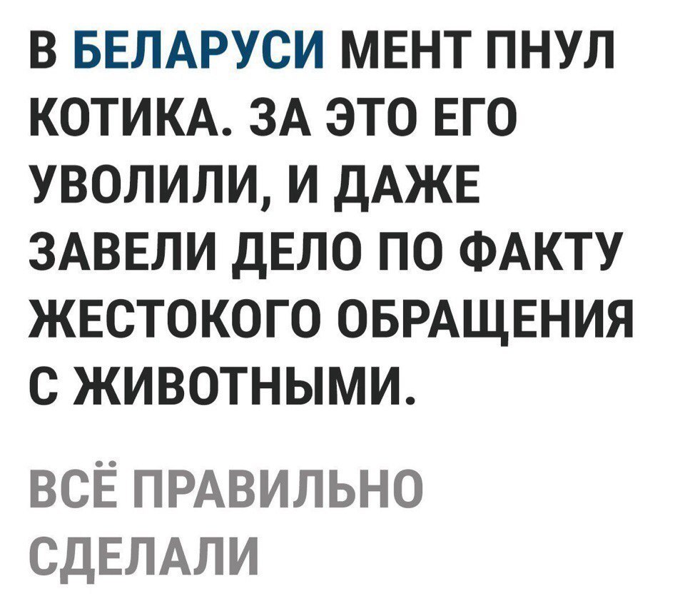 В БЕЛАРУСИ МЕНТ ПНУЛ КОТИКА ЗА ЭТО ЕГО УВОЛИЛИ И ДАЖЕ ЗАВЕЛИ ДЕЛО ПО ФАКТУ ЖЕСТОКОГО ОБРАЩЕНИЯ С ЖИВОТНЫМИ ВСЁ ПРАВИЛЬНО СДЕЛАЛИ