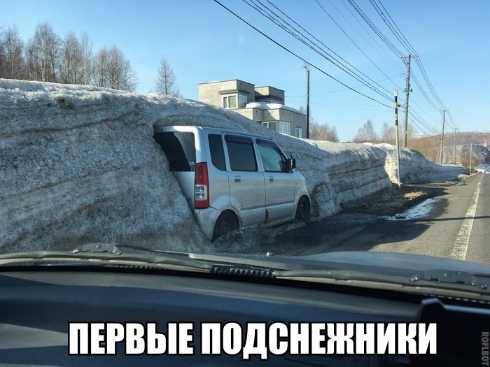 ПЕРВЫЕ ППДВНЕЖНИНИ