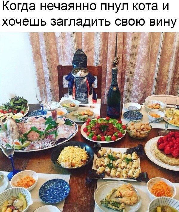КОГДЭ НЭЧЭЯННО ПНУЛ кота И ХОЧЭШЬ ЗЭГЛЭДИТЬ СВОЮ ВИНУ