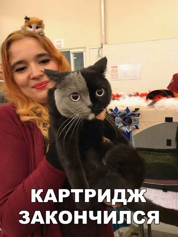 кдртриджі 3АКОНЧИ5Ё