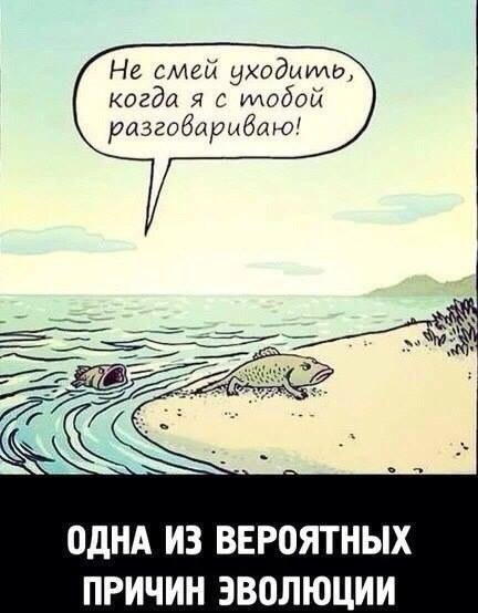 Не смей уходыило когда я с тобой разгобарыбаю ОДНА ИЗ ВЕР0ЯТНЫХ ПРИЧИН ЭВОЛЮЦИИ