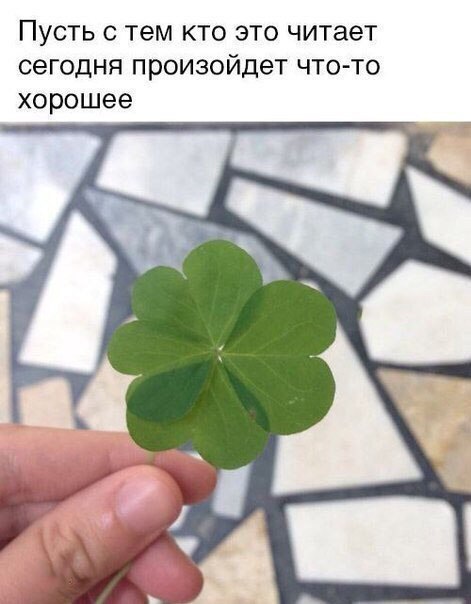 Пусть с тем кто это читает сегодня произойдет чтото хорошее