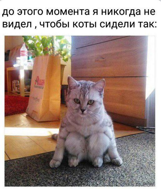ДО ЭТОГО МОМЕНТЗ Я никогда не