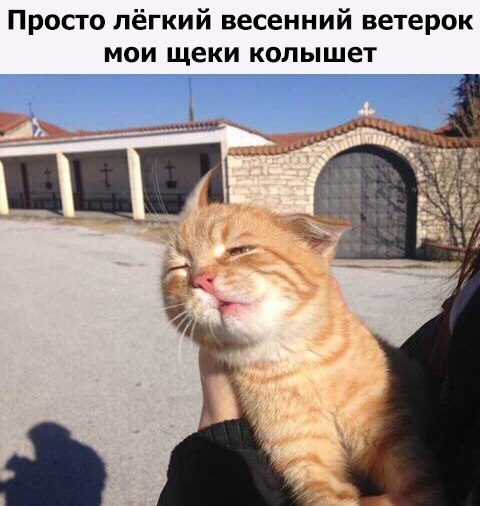 Просто пёгкий весенний ветерок мои щеки колышет