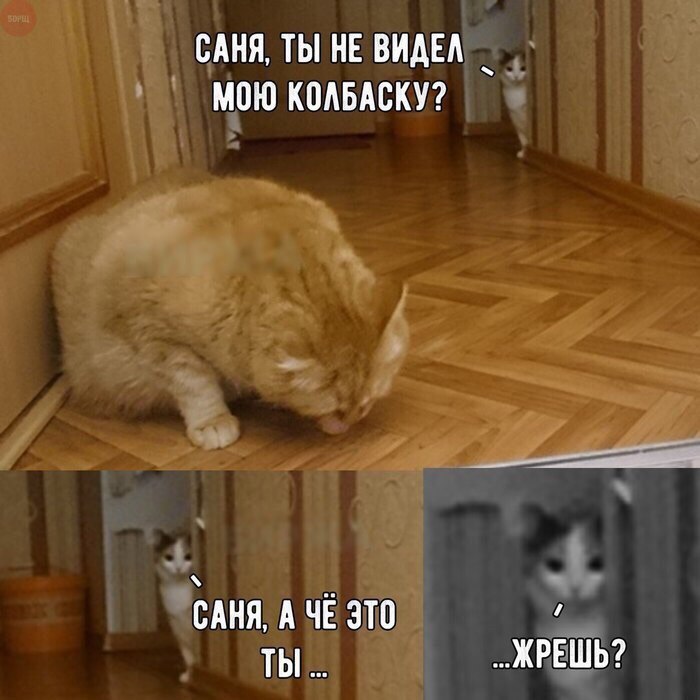 БАНЯ ТЫ НЕ ВИАЕА мою кпдвдскуг сАня А ЧЁ это ты ЖРЁШЬ