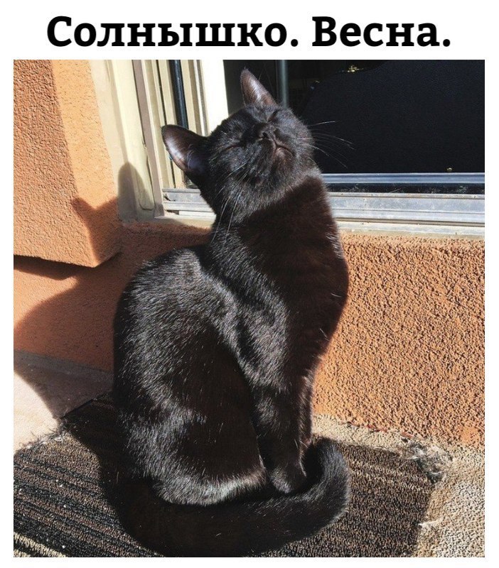 Солнышко Весна