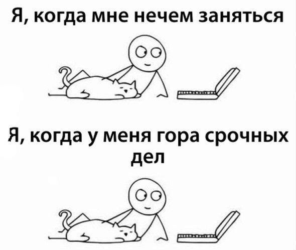 Я когда мне нечем ЗЗНЯТЬСЯ Я когда у меня гора срочных дел Ы