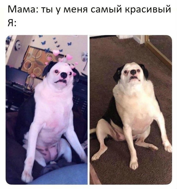 Мама ты у меня самый красивый