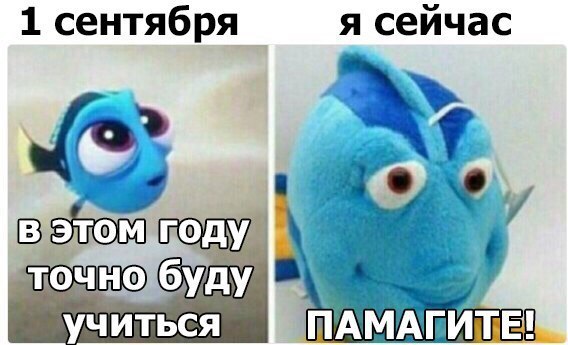 1 сентября я сейчас