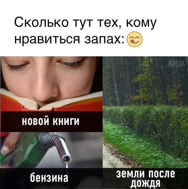 Сколько тут тех кому нравиться запах новой книги зёйім поСле бензина дождя